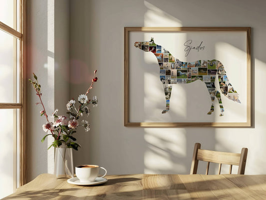 Arabisch Volbloed V3